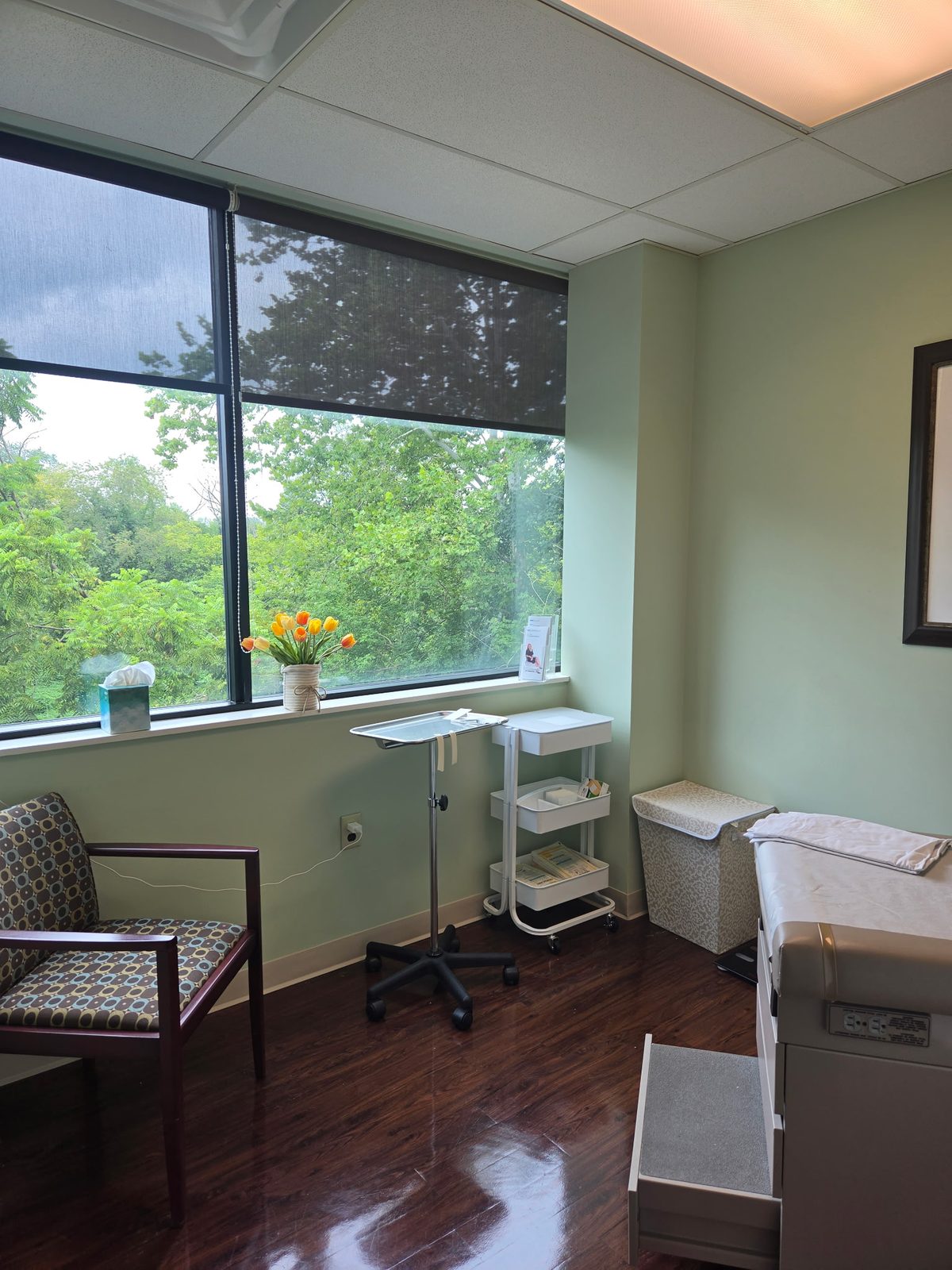 A treatment room in Suite 202 with a view of the trees